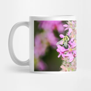 Pollen, Nectar Summer Mug